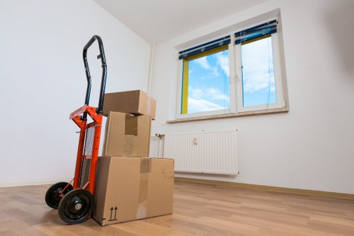 Summary of cookie categories and privacy choices for Man With Van Bigginhill