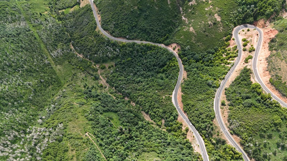 Aerial view of a winding mountain road surrounded by dense green forest with various shades of foliage, including some lighter and darker areas indicating different tree types and terrain features. The road has multiple sharp turns and switchbacks, with clear paved surfaces and roadside barriers visible along the edges. The landscape includes steep slopes and patches of exposed earth, creating a rugged terrain typical of hilly or mountainous regions. This scenic scene emphasizes the natural environment and challenging driving conditions, which may be relevant for home relocation planning involving transportation and access logistics, as managed by companies like Man with Van Biggin Hill.