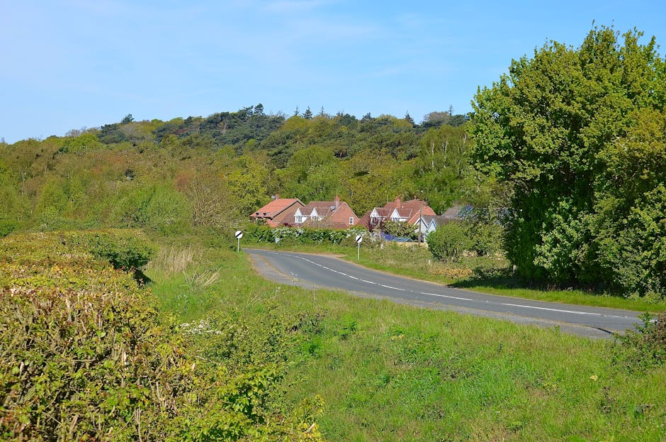 A rural scene showing a gently winding asphalt road passing through a residential area in Biggin Hill. On the right side, there is a large deciduous tree with lush green foliage, and on the left, dense low-lying vegetation and bushes. In the background, several houses with red-tiled roofs and white walls are visible, situated amidst green gardens. The road is lined with small white roadside posts and street signs, leading towards a hillside covered with mixed trees and shrubbery under a bright blue sky. The image relates to home relocation and moving logistics, fitting the context of house removals on Station Road to Church Road, as managed by Man with Van Biggin Hill, with a focus on the transport and packing process involved in furniture transport and moving services.